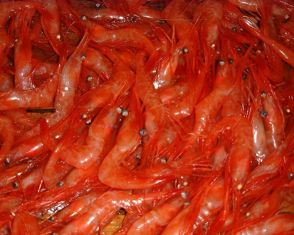 纳诺拉锁酒店 招待所